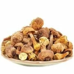 Agaricus Blazei