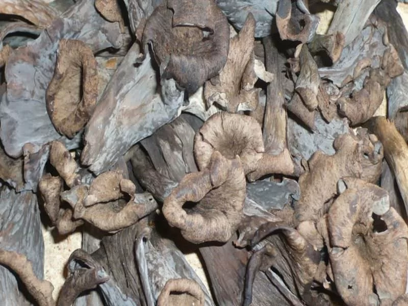 Craterellus Cornucopioides Entera Ultracongelado