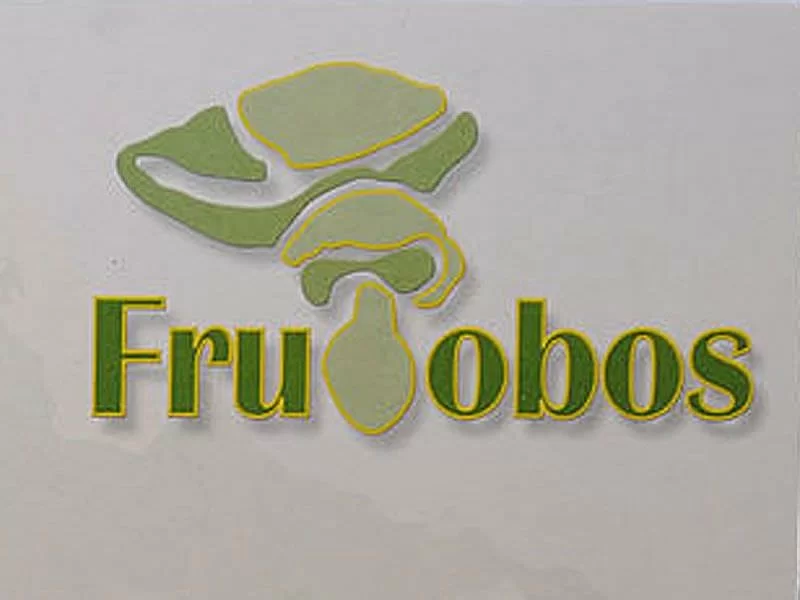Envíos
