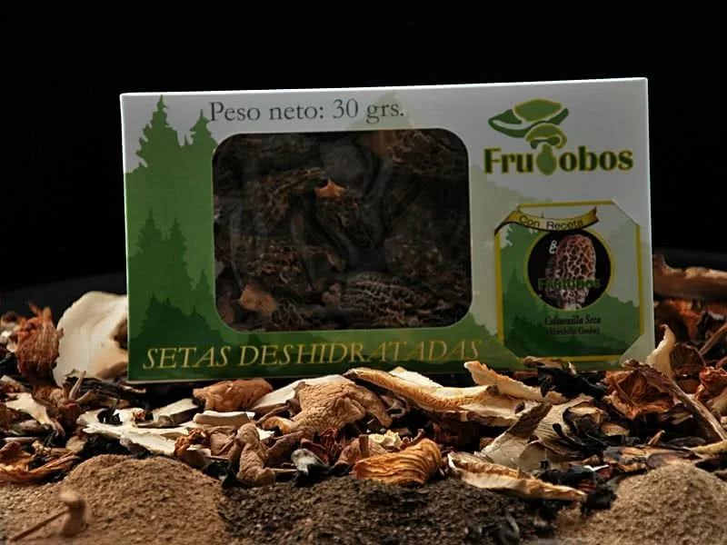 Morchella Rotunda Caja Deshidratado
