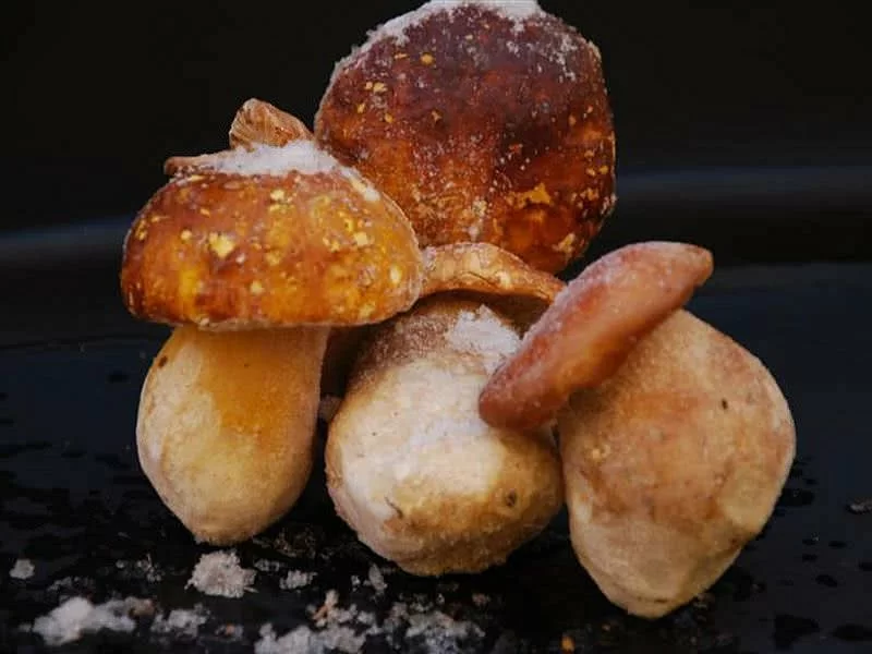 Tricholoma Georgii Entero Ultracongelado